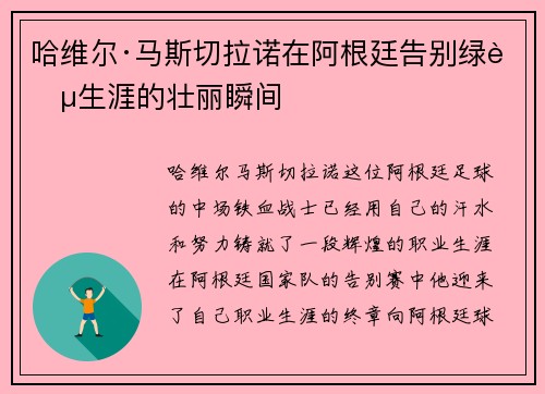 哈维尔·马斯切拉诺在阿根廷告别绿茵生涯的壮丽瞬间